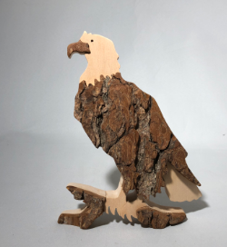 Bark Eagle